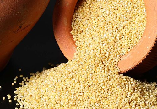 fox-millet
