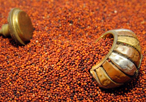 ragi